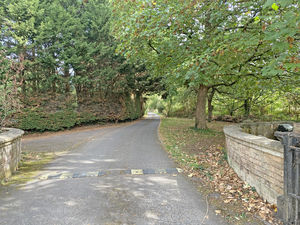 Photo 2- click for photo gallery
